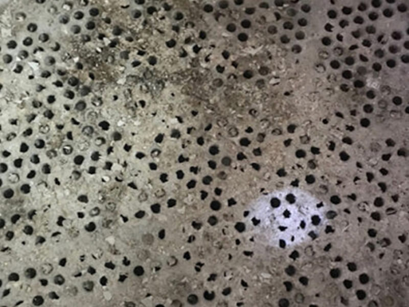 蒸（zhēng）發器清洗